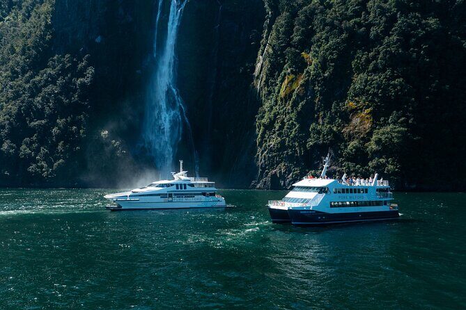 Cruise Milford NZ Small Boutique Cruise Experience - Frequently Asked Questions