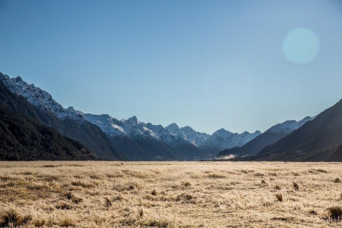 Cruise Milford Small Group Day Tour from Queenstown - The Transport: Comfort and Flexibility