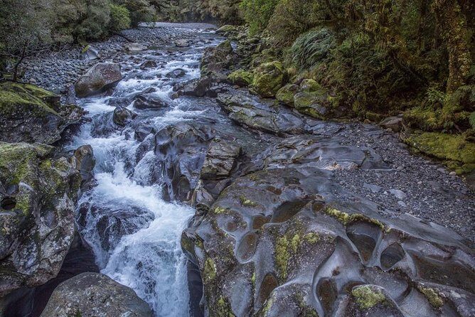 Cruise Milford Small Group Day Tour from Queenstown - FAQs