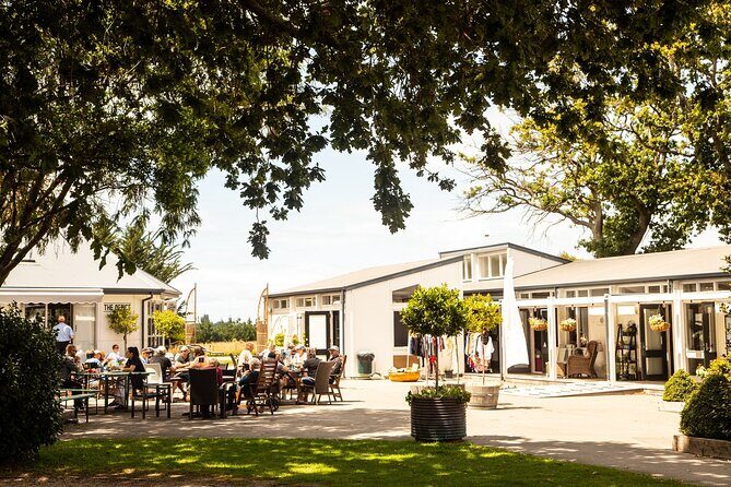 CRUISE SHIP DAY LYTTELTON Hop On Hop Off Wine Tours to Waipara - Key Points
