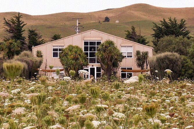 CRUISE SHIP DAY LYTTELTON Hop On Hop Off Wine Tours to Waipara - Practical Details: What You Need to Know