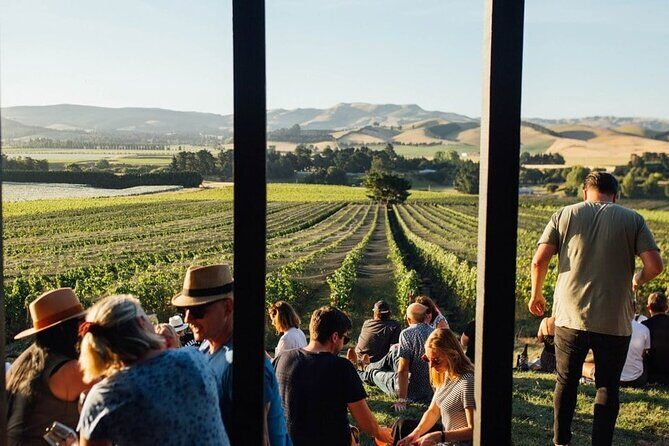 CRUISE SHIP DAY LYTTELTON Hop On Hop Off Wine Tours to Waipara - Final Thoughts