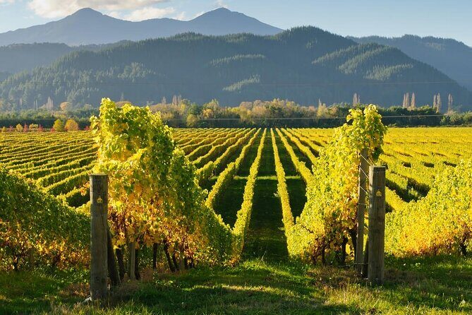 CRUISE SHIP DAY Marlborough Hop On Hop Off Wine Tours - Non-Winery Attractions: History, Cars, and Local Shops