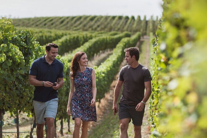 CRUISE SHIP DAY Marlborough Hop On Hop Off Wine Tours - The Experience: What You Can Expect