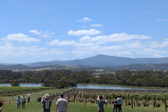 Cruise Ship Friendly Yarra Valley Wine Tour with Port Pickup - Who is this tour best suited for?