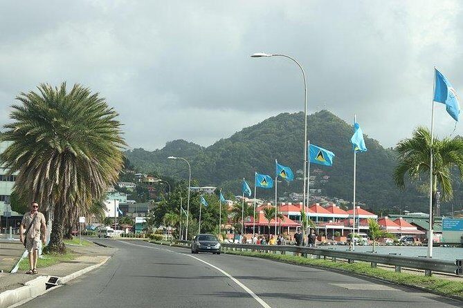 Cruise Ship - On Island for a Day Excursion - Who Should Consider This Tour?