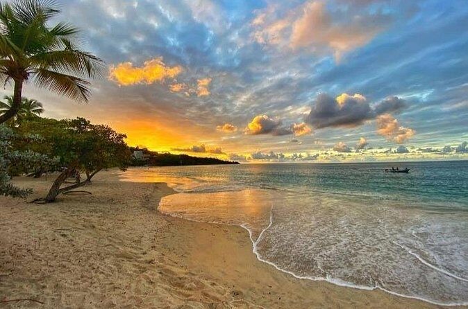 Cruise Ship Round Transfer to Grand Anse Beach in Grenada - How This Experience Fits Into Your Grenada Adventure