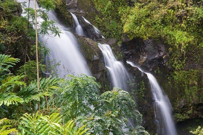 Cruise Ship Shore Excursion: Kahului Heavenly Hana Tour - Who Would Enjoy This Tour?