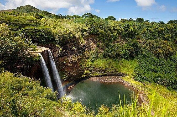 Cruise Ship Shore Excursion: Kauai Movie Sites Tour - Who Will Love This Tour?