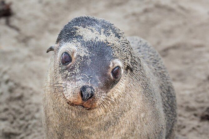 CRUISE SHIP Wildlife Tour - Final Thoughts