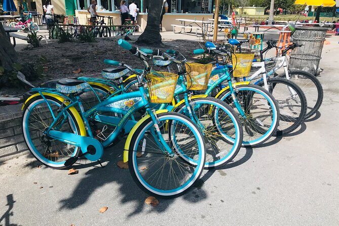 Cruiser Bike Rental at Crandon Park - Why This Experience Is Worth Considering
