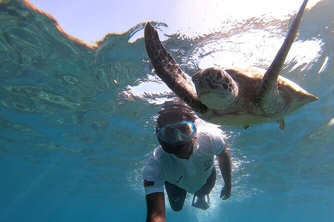 Cruises to Daymaniyat & Snorkeling - Arriving at the Daymaniyat Islands
