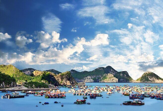 Cruising- Kayaking- Cycling- Trekking 3D/2N from Cat Ba in less tourist areas. - Key Points