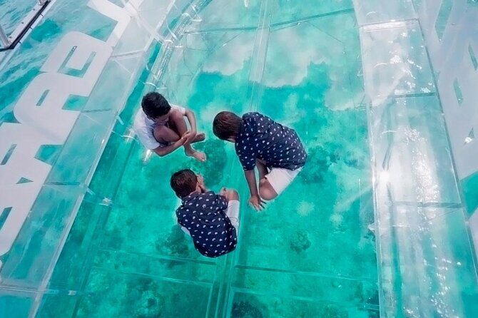 Crystal Boat Tour to San Miguel de Cozumel with Snorkeling - Marine Highlights from the Glass Bottom Boat