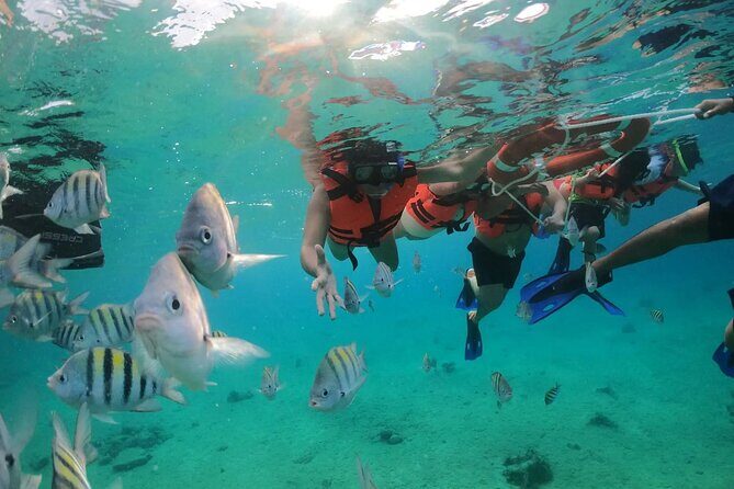 Crystal Boat Tour to San Miguel de Cozumel with Snorkeling - The Realistic Expectations: What You’ll Love and What to Watch For