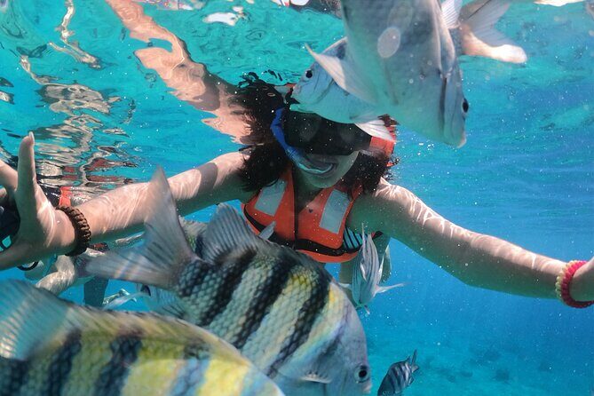 Crystal Boat Tour with Snorkeling and Drinks in Cozumel - What Is this Tour All About?