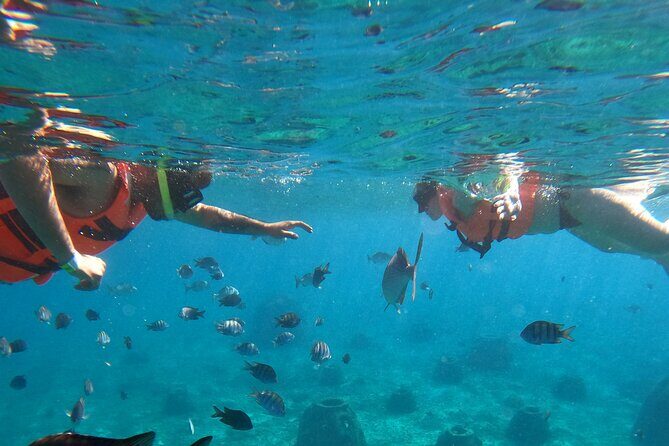 Crystal Boat Tour with Snorkeling and Drinks in Cozumel - Practical Considerations and Tips