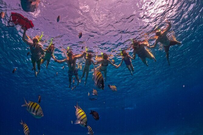 Crystal Boat Trip and Snorkeling Tour from Cozumel - Final Thoughts