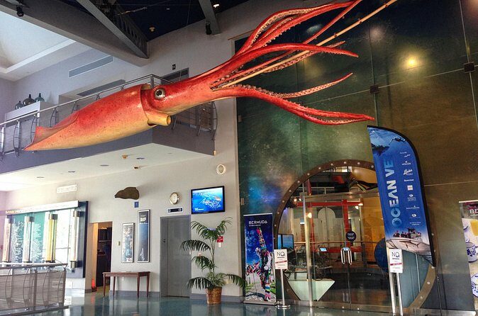 Crystal Caves and Bermuda Underwater Exploration Institute Admission - Who This Tour Is Best For