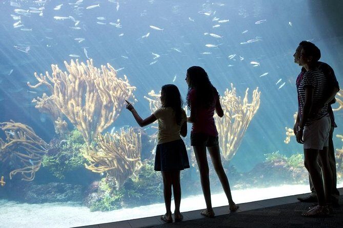 Crystal Caves, Aquarium, City of Hamilton and Ferry - Exploring Bermuda’s Highlights in 5 Hours