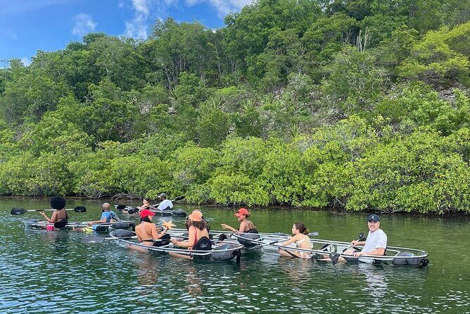 Crystal Kayak & Snorkel Eco Tour (with transfer) - What Makes this Tour Special?