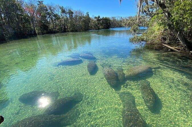 Crystal River Boat and Nature Tour - FAQ