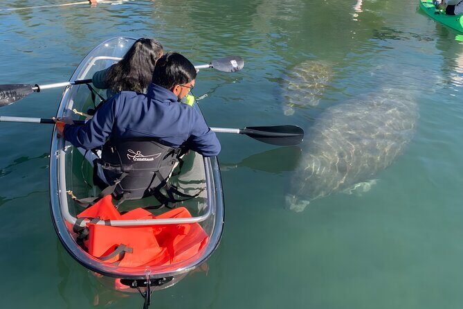 Crystal River: Clear Kayak Manatee Eco Tour (Free Photo Package) - Who Will Love This Tour?