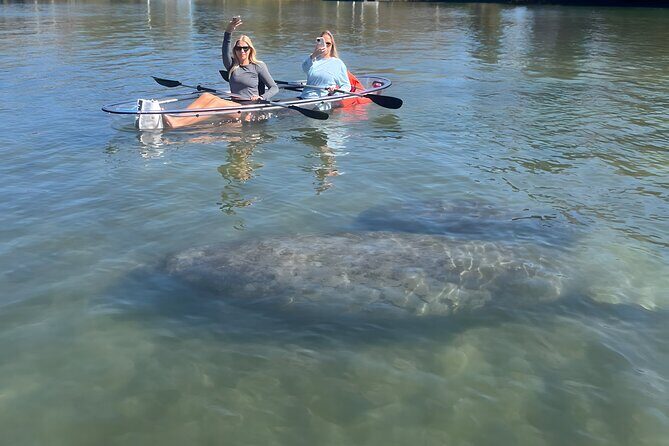 Crystal River: Clear Kayak Manatee Eco Tour (Free Photo Package) - FAQ