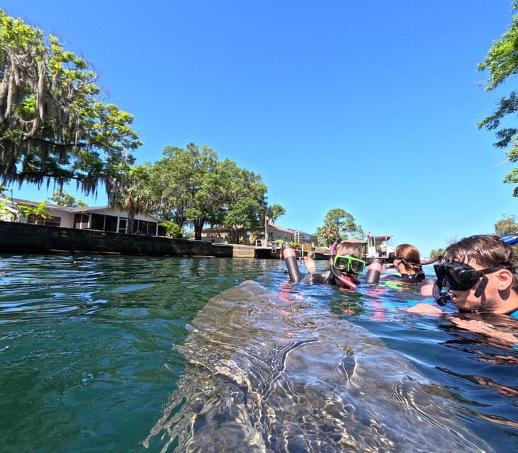 Crystal River: Guided Manatee Snorkeling Tour - An Authentic Encounter with Florida’s Beloved Marine Mammals