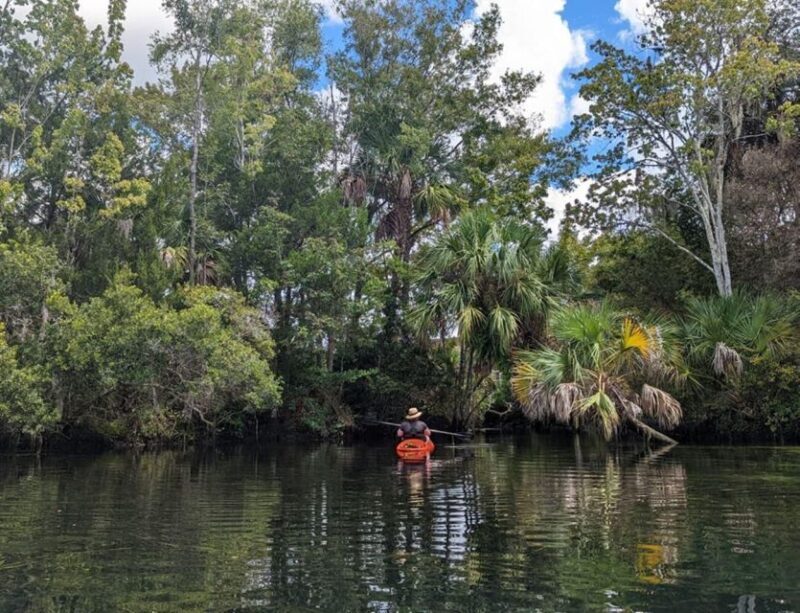 Crystal River: Kayak Rental - An In-Depth Look at the Experience