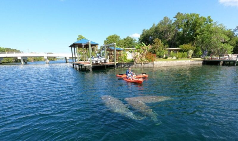 Crystal River: Kayak Rental - Things to Consider Before Booking