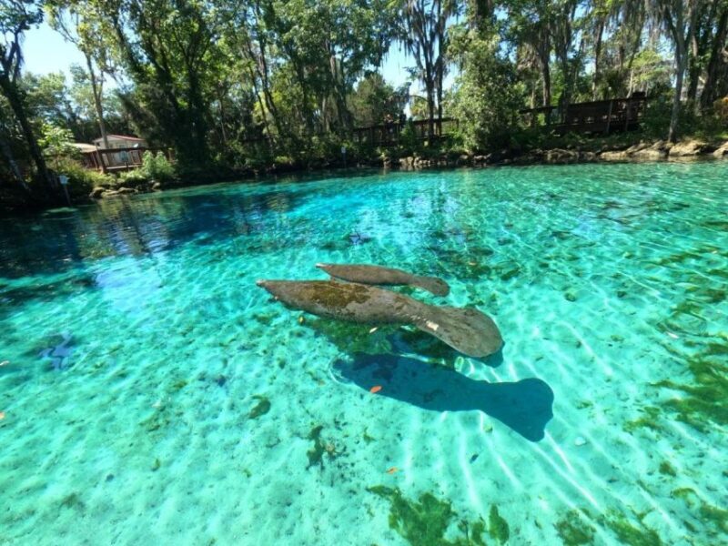Crystal River: Kayak Rental - FAQ: Your Practical Questions Answered