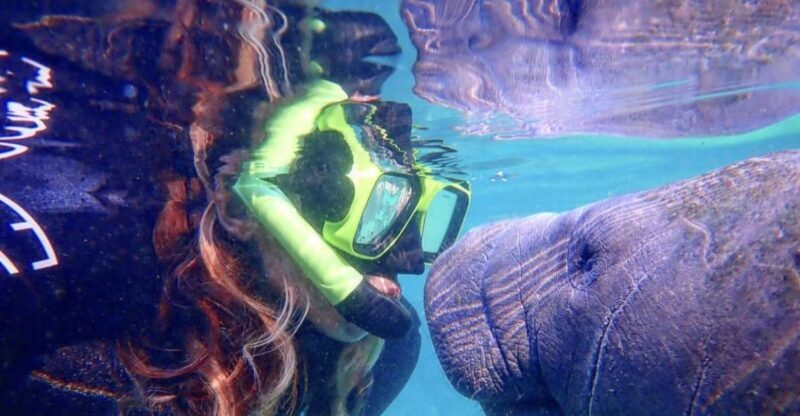Crystal River: Manatee Swim Group Tour - Introduction to the Experience