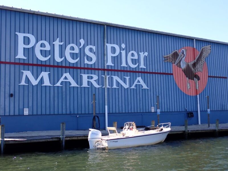Crystal River: Manatee Viewing Cruise - A Detailed Look at the Tour Experience