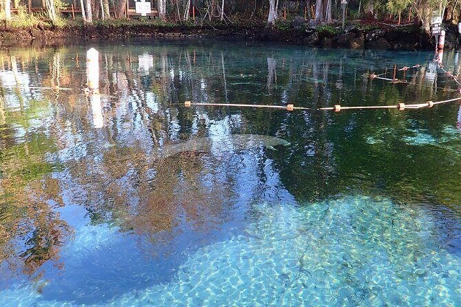 Crystal River Manatee Viewing Cruise - Why This Tour Works for Different Travelers