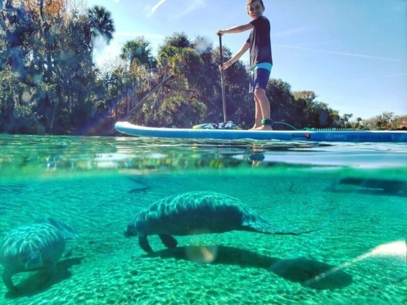 Crystal River: Paddle Board Rental - Practical Details and Logistics