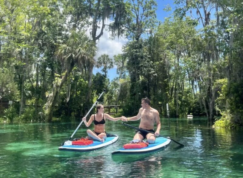 Crystal River: Paddle Board Rental - The Experience’s Pros and Cons
