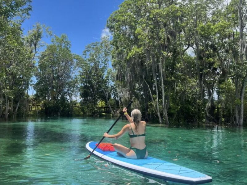 Crystal River: Paddle Board Rental - Review Highlights from Past Participants
