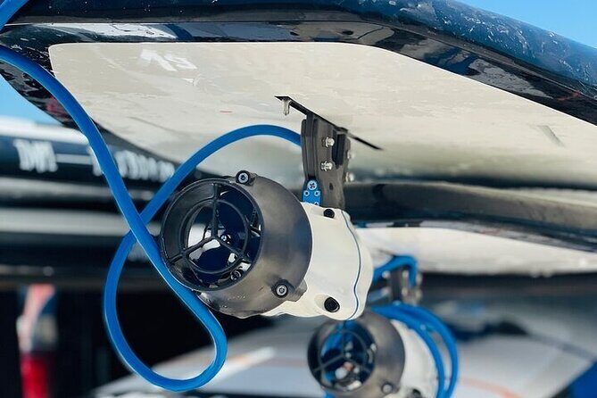 Crystal River Reserve State Park Electric Paddleboard Rentals - An Introduction to the Crystal River Paddleboard Experience