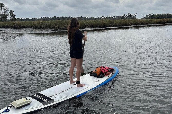 Crystal River Reserve State Park Electric Paddleboard Rentals - Who Will Love This Experience?