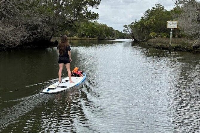Crystal River Reserve State Park Electric Paddleboard Rentals - Analyzing the Value