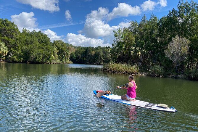 Crystal River Reserve State Park Electric Paddleboard Rentals - The Experience Provider: Powerboard Adventures