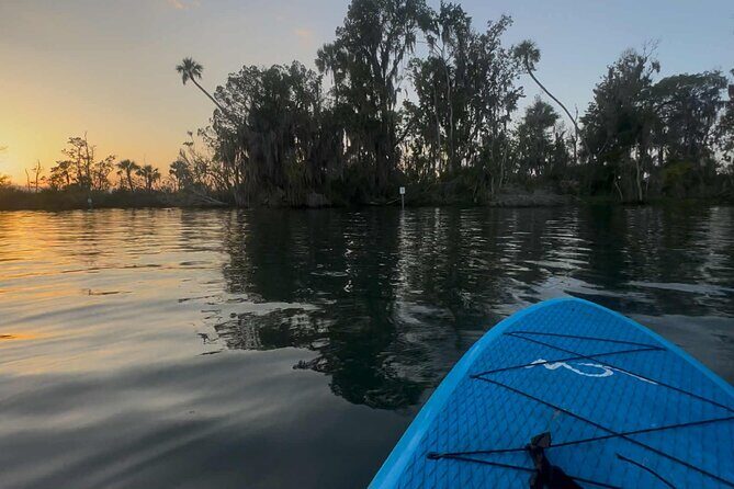 Crystal River Sunrise Manatee Clear Kayak Tour - What is the Water’s Edge Kayak Tour Experience?