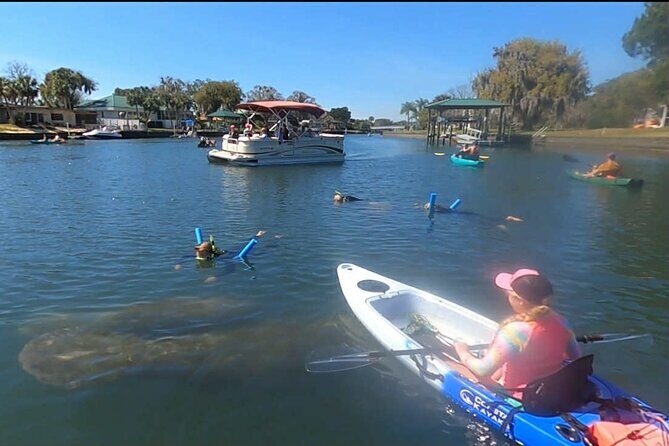Crystal River Sunrise Manatee Clear Kayak Tour - Frequently Asked Questions