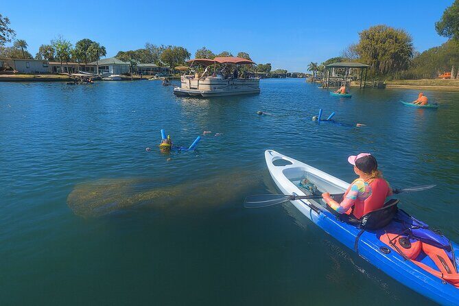 Crystal River: Three Sisters Clear Kayak and Snorkeling Tour - Price and Value