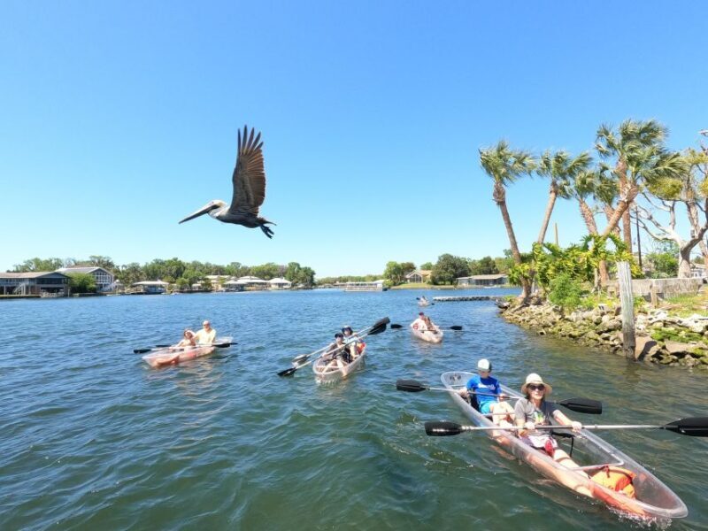 Crystal River: Three Sisters Springs Eco Tour by Clear Kayak - The Sum Up