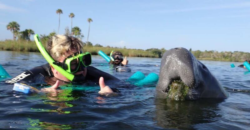 Crystal River: VIP Manatee Swim w/ In-water Photographer - A Detailed Look at the Experience
