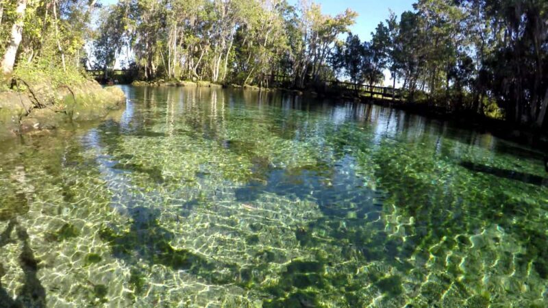 Crystal River:Three Sisters Springs Guided Kayak & Swim Tour - Key Points