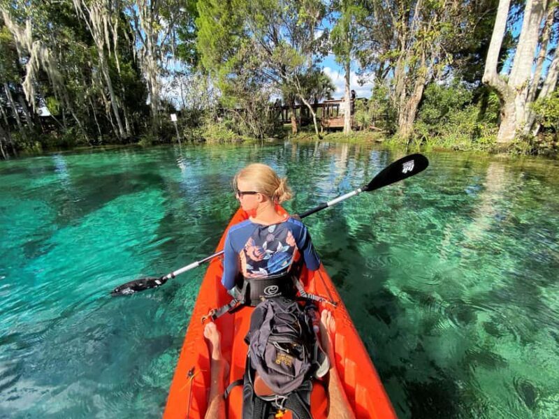 Crystal River:Three Sisters Springs Guided Kayak & Swim Tour - An In-Depth Look at the Tour Experience