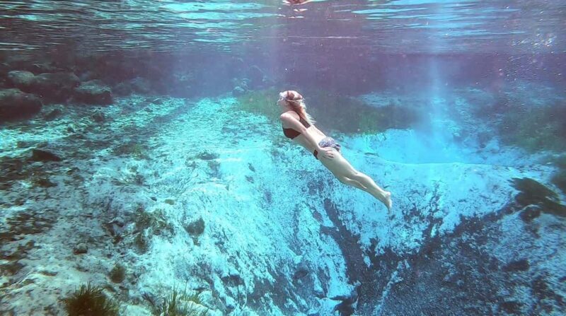 Crystal River:Three Sisters Springs Guided Kayak & Swim Tour - Who Will Love This Tour?